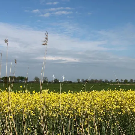 Apartment Tief 10 Meeresstern Mit Internet504