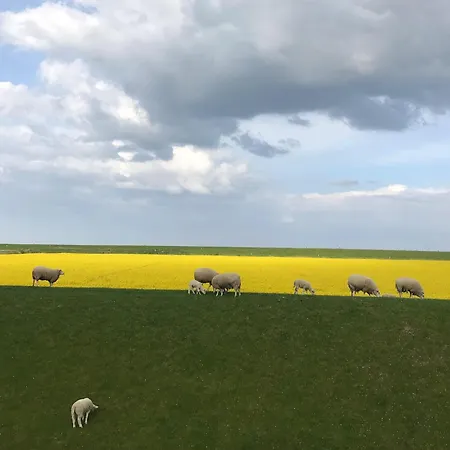 Tief 10 Meeresstern Mit Internet504 Apartment Schillig