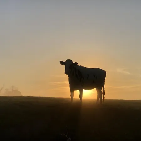 Apartment Tief 10 Meeresstern Mit Internet504