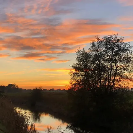 Tief 10 Meeresstern Mit Internet504 *