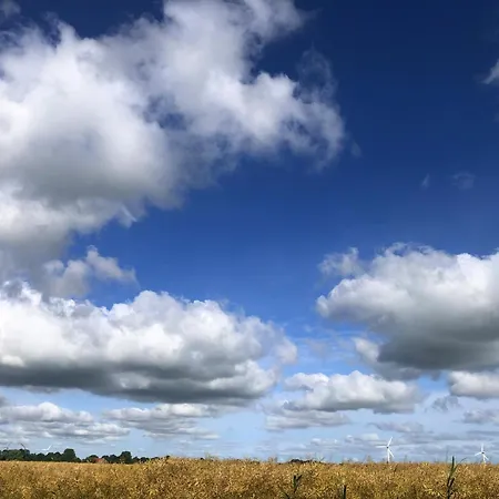 Tief 10 Meeresstern Mit Internet504 * Schillig