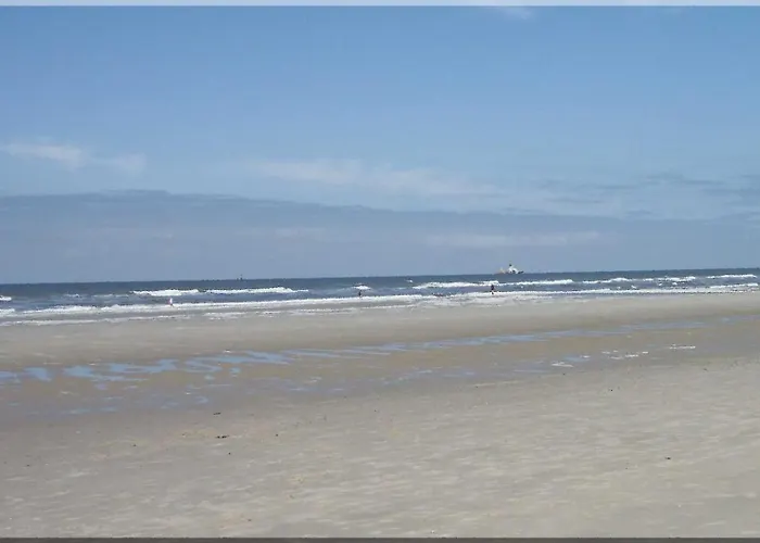 Tief 10 Meeresstern Mit Internet504 Daire *