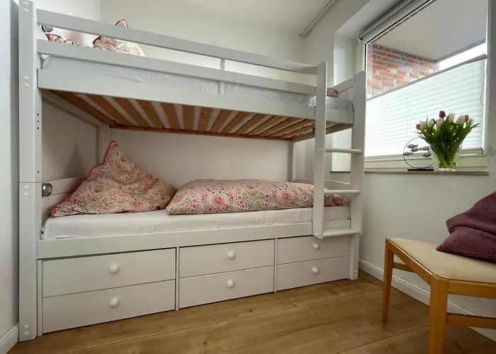 Tief 10 Meeresstern Mit Internet504 *