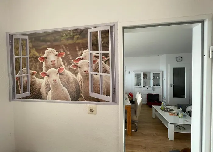 Tief 10 Meeresstern Mit Internet504 Daire