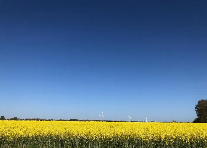 Tief 10 Meeresstern Mit Internet504