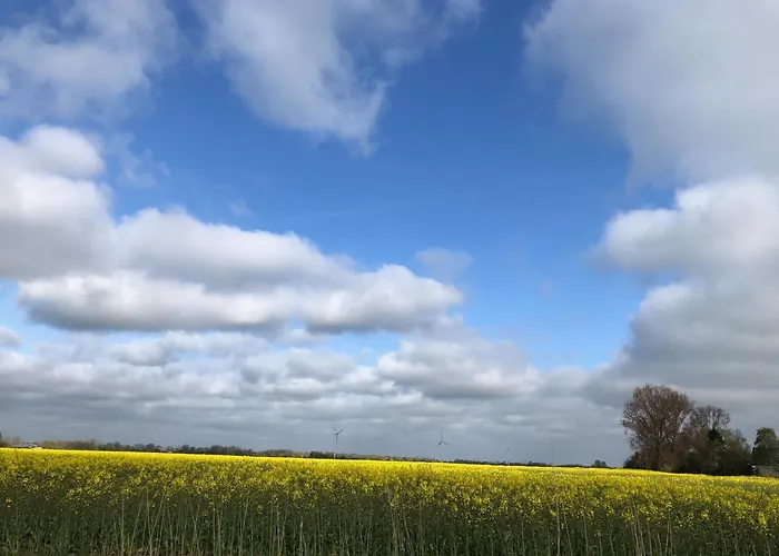 Tief 10 Meeresstern Mit Internet504 Daire