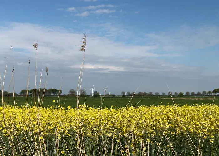 Daire Tief 10 Meeresstern Mit Internet504