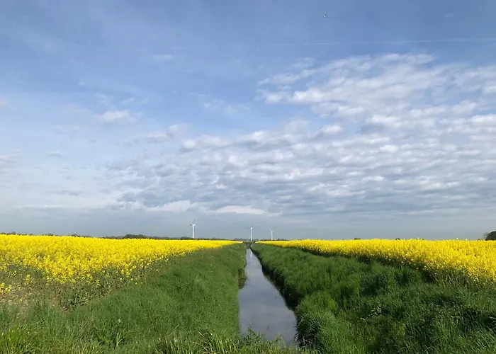Tief 10 Meeresstern Mit Internet504 Schillig