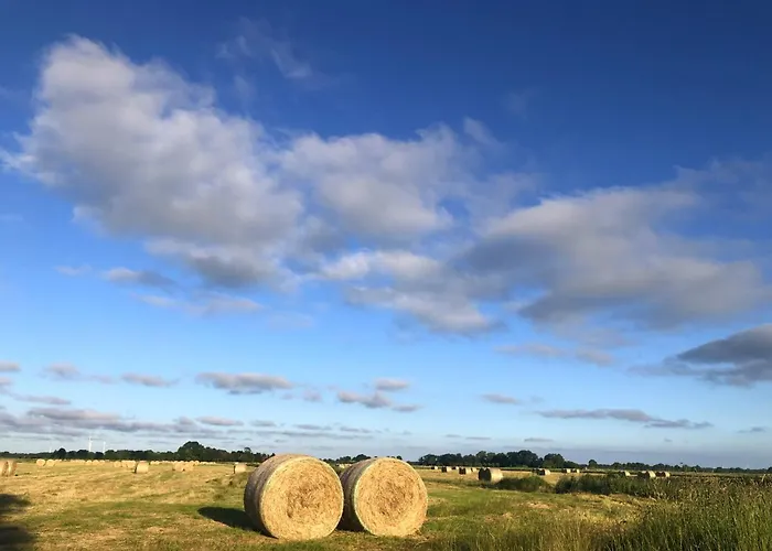 Tief 10 Meeresstern Mit Internet504 *