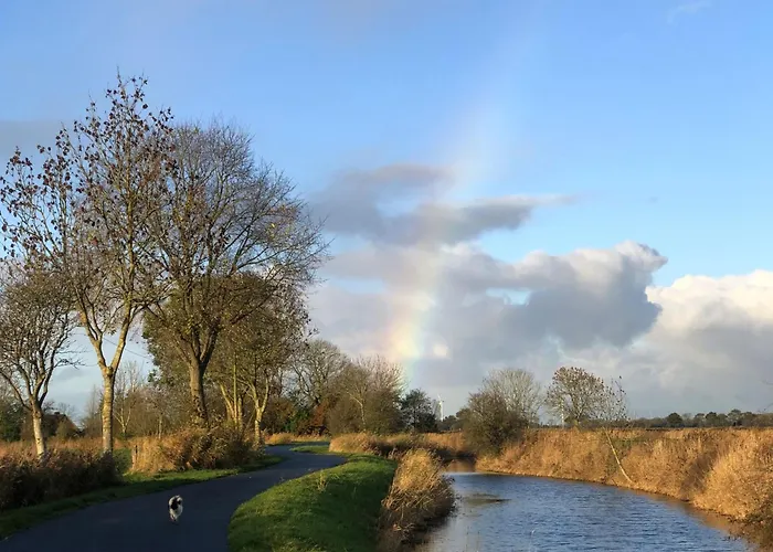 Daire Tief 10 Meeresstern Mit Internet504 Schillig