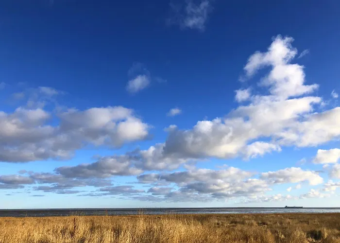 Tief 10 Meeresstern Mit Internet504